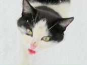 Фотография Кутыревой Катерины