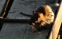 Фотография Белозерова Евгения