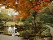 Антоніна Суран фотография #48 (источник - https://vk.com/id92225882)