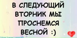 Фотография Ермоленко Дианы