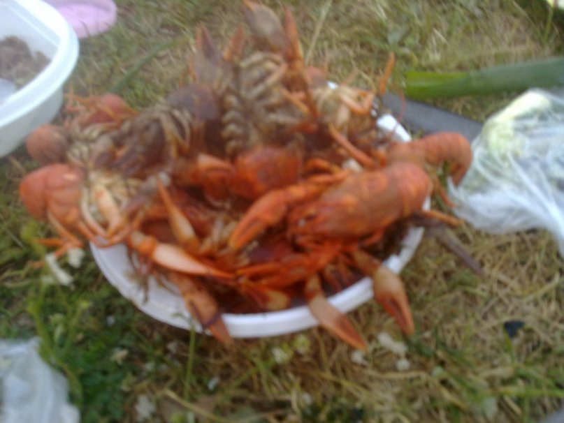 Шамиль Ахметсафин фотография #8