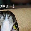 Аня Шит фотография #23 (источник - https://vk.com/id94290958)