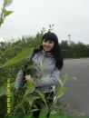 Фотография Мишкотиной-Писаревой Екатерины