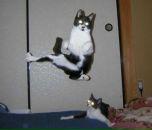 Вітя Допик фотография #9 (источник - https://vk.com/id58347835)