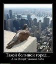 Ігорь Варченко фотография #7 (источник - https://vk.com/id54215051)