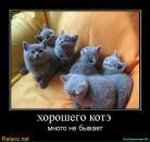 Петро Ліневич фотография #38 (источник - https://vk.com/id96289552)