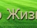 Діма Захаравич фотография #33 (источник - https://vk.com/id126733116)