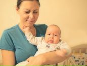 Фотография Сливы Анны