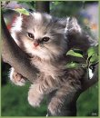 Анна-марія Костинюк фотография #19 (источник - https://vk.com/id79884088)