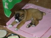 Фотография Юрашевой Елены