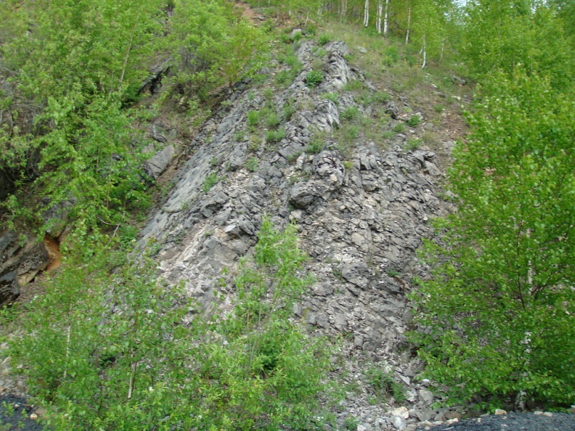 Иван Васильевич фотография #20