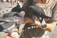 Фотография Ерохиной Василисы