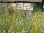 Фотография Спасской Пелагеи