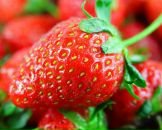 Марія Снігур фотография #42 (источник - https://vk.com/id129021747)