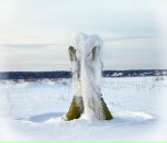 Фотография Линевой Лены