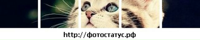 Марія Головнюк фотография #27 (источник - https://vk.com/id96412208)