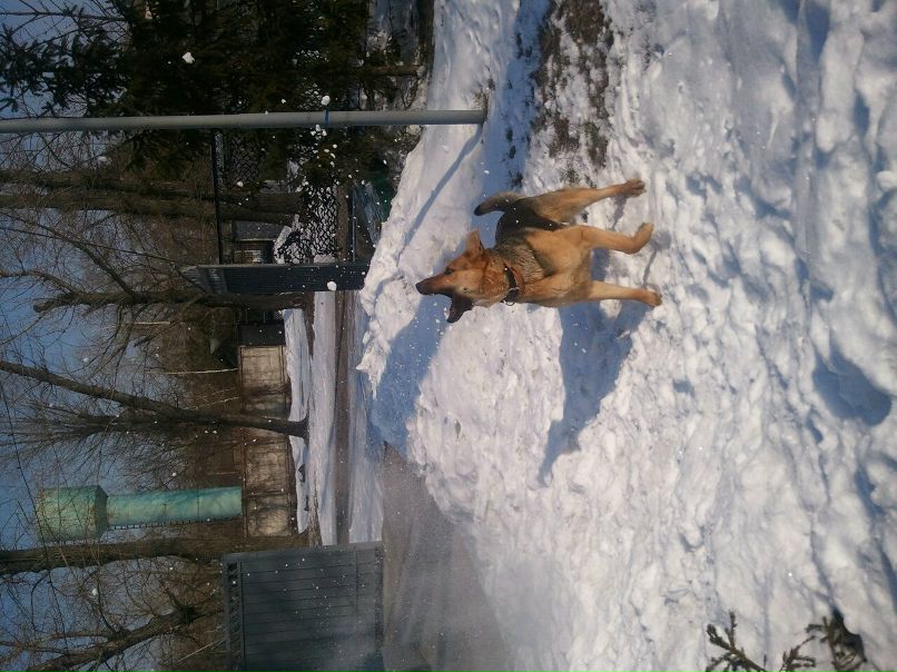 Дмитрий Федоренко фотография #19