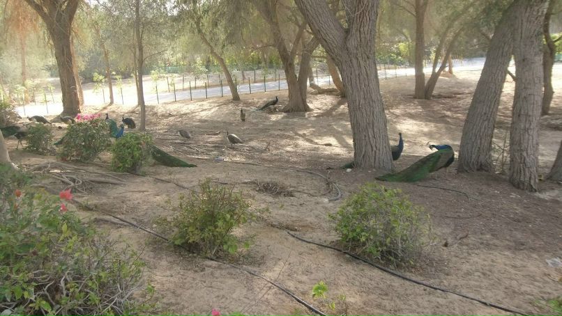 Андрей Сидоренко фотография #20