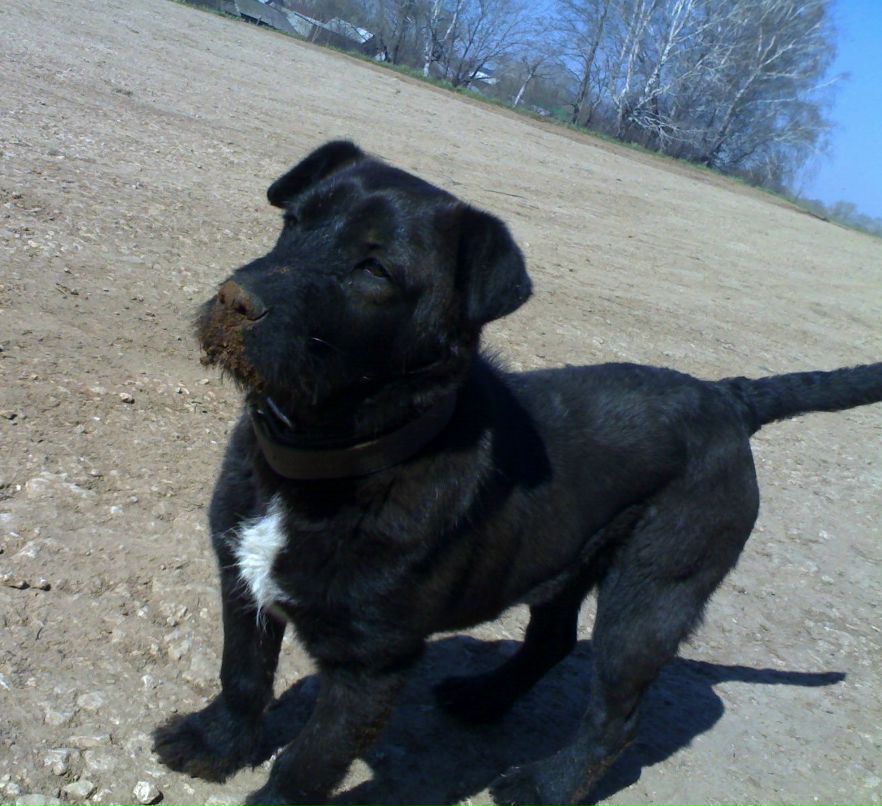 Оля Соколова фотография #14