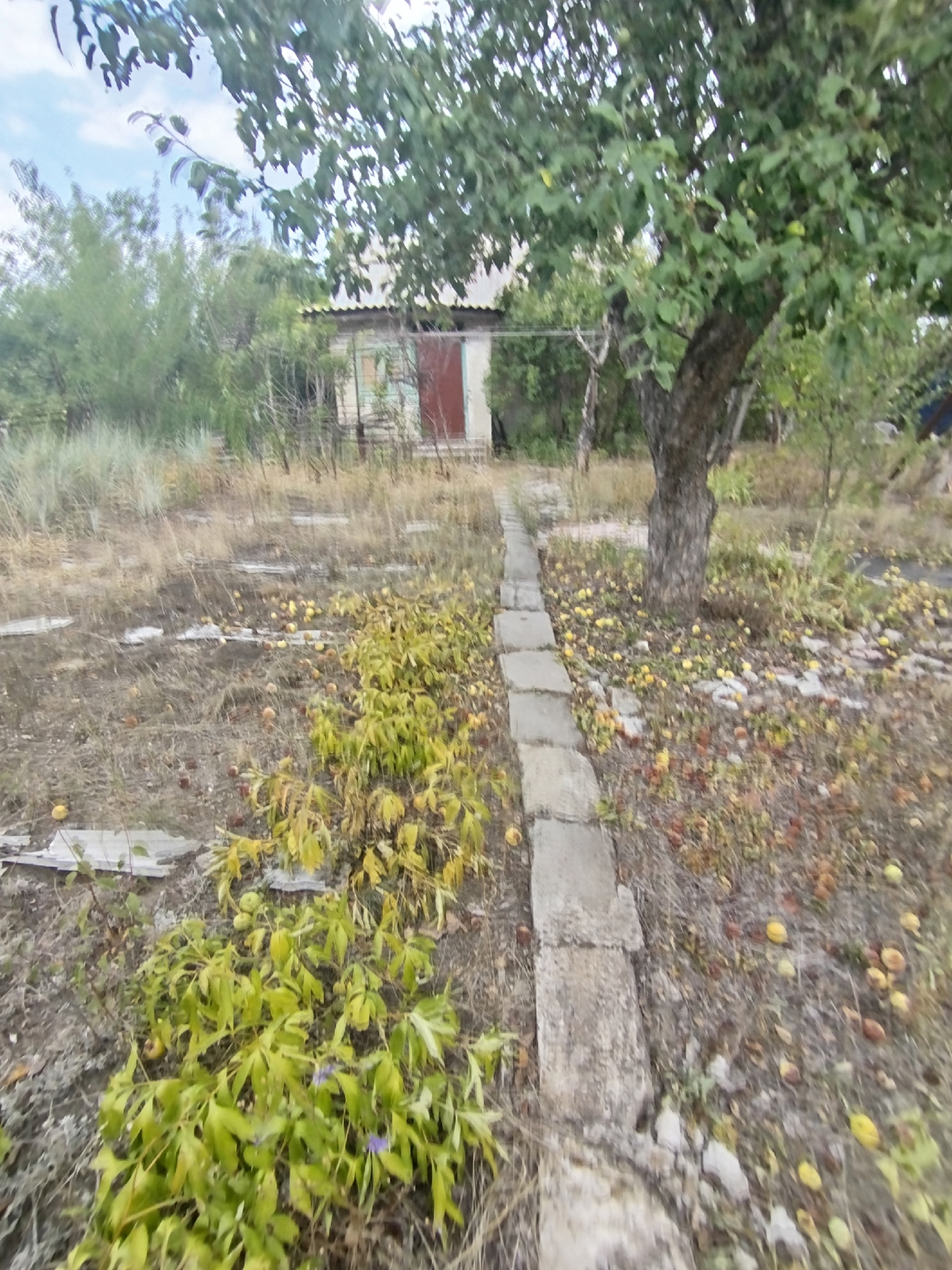 Продам дачу в Ленинском районе. За мемориальном комплексом "Острая Могила", можно добираться автобусом № 112 (автовокзал - дачи). Дорога хорошая. Участок в охраняемом СНТ, приватизирован, 5.8 соток. На участке кирпичное домостроение (2 комнаты, есть погреб), плодовые деревья, хозяйственные постройки...